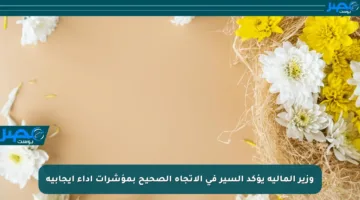وزير المالية يؤكد السير في الاتجاه الصحيح بمؤشرات أداء إيجابية